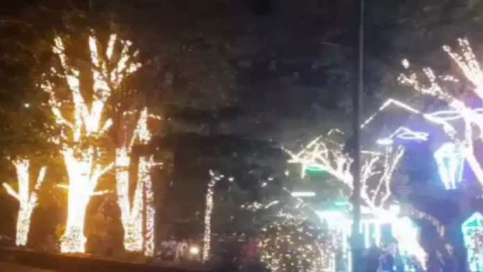 Man Booked in Pune for Wrapping Artificial Lights Around Trees