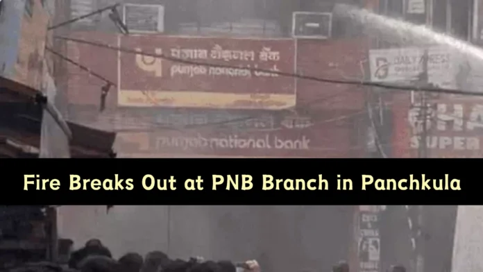 Fire Breaks Out at Punjab National Bank Branch in Panchkula Haryana