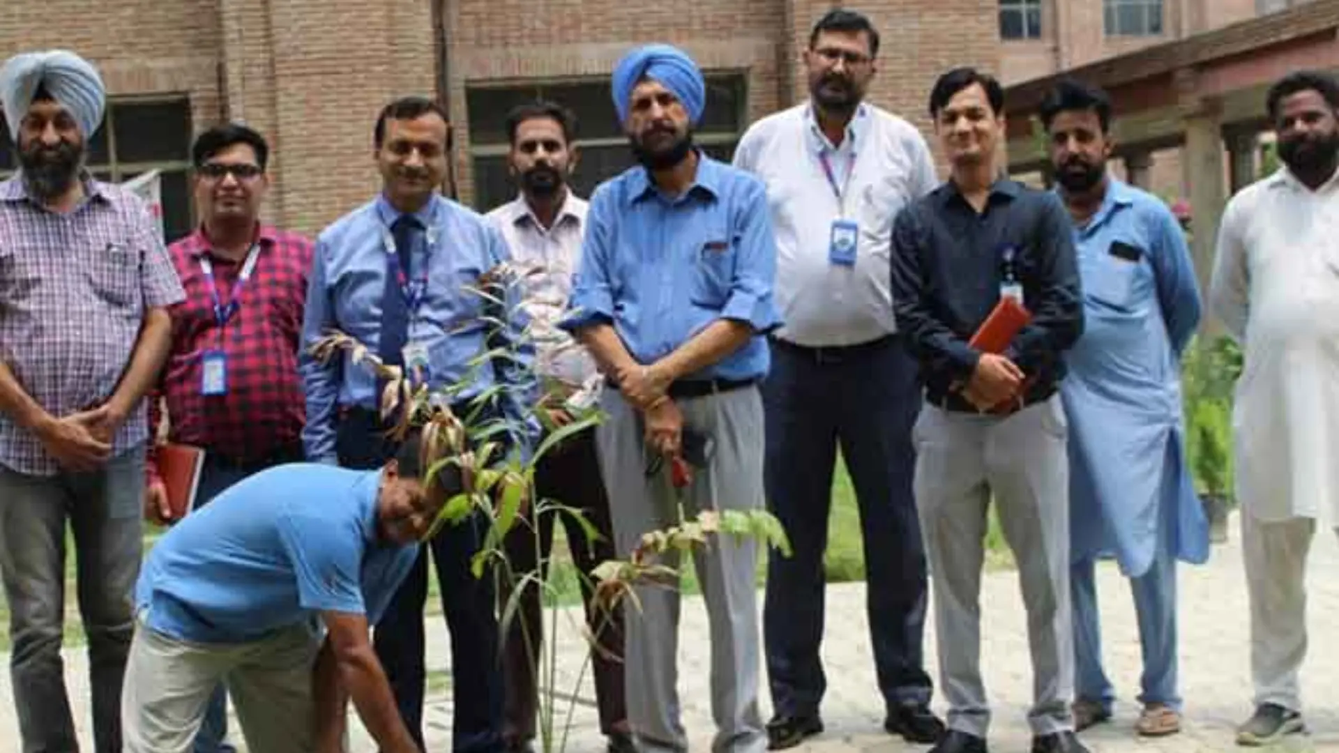 SBI and MRSPTU Launch Tree Plantation Drive Under #PLANT4MOTHER Initiative