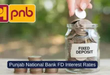PNB FD Interest Rate: Punjab National Bank Fixed Deposit Interest Rate For Public and Senior Citizens [Updated]