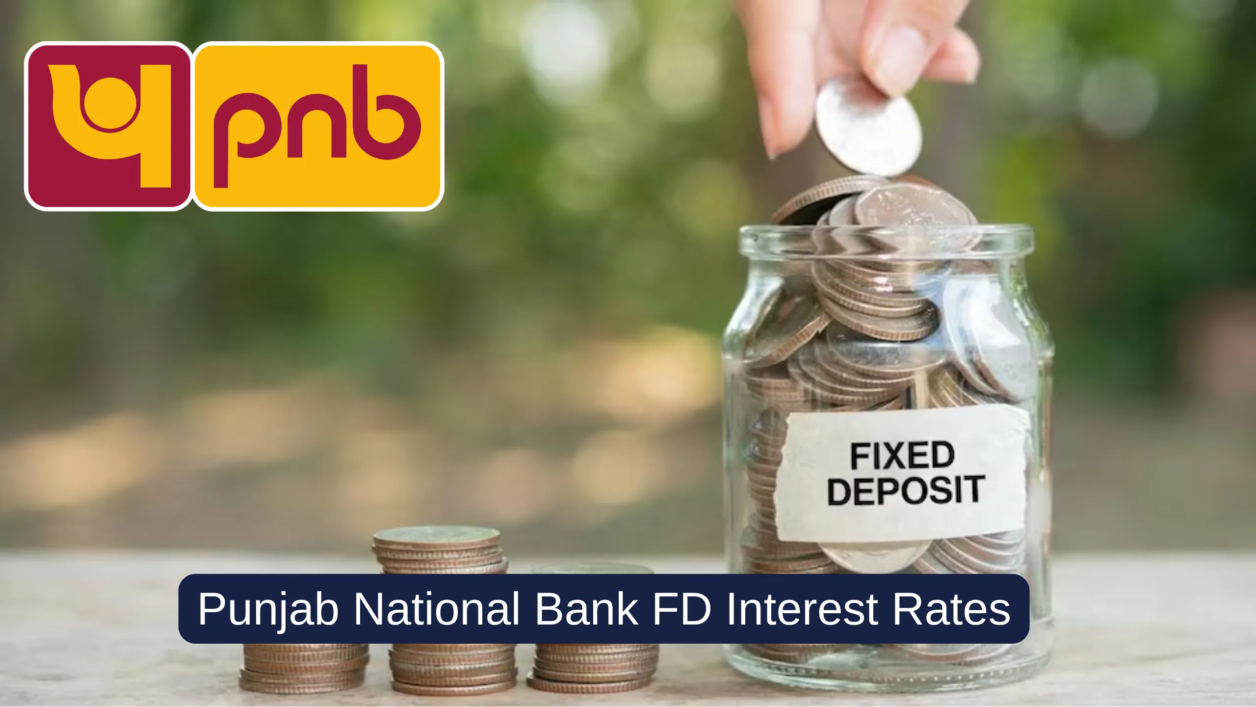 PNB FD Interest Rate: Punjab National Bank Fixed Deposit Interest Rate For Public and Senior Citizens [Updated]