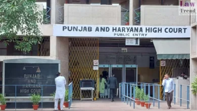 Punjab & Haryana High Court Rules Out Retroactive Termination in Employment Case