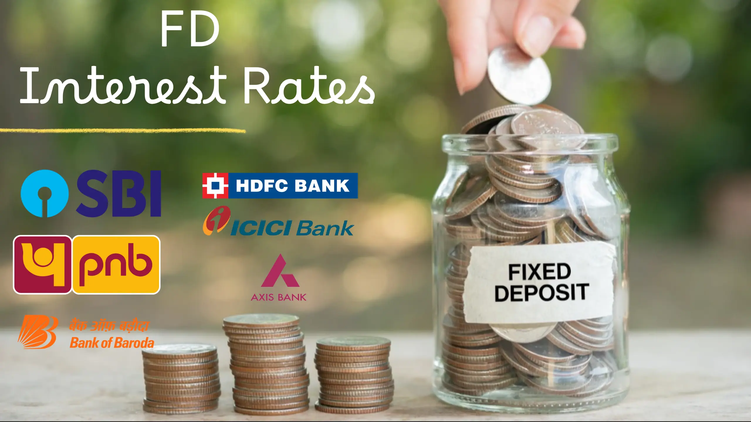 Bank FD Interest Rates 2024: Check Latest Fixed Deposit Rates for All Banks in India