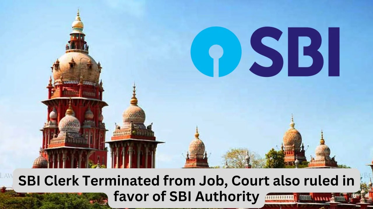 SBI Clerk Terminated from Job, Court also ruled in favor of SBI Authority