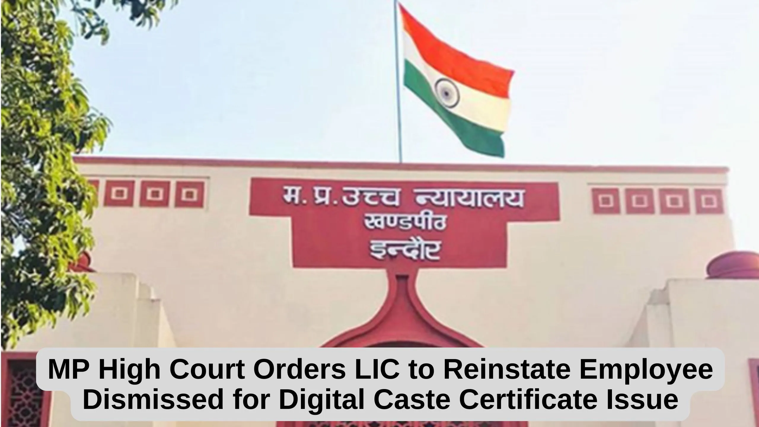 MP High Court Orders LIC to Reinstate Employee Dismissed for Digital Caste Certificate Issue