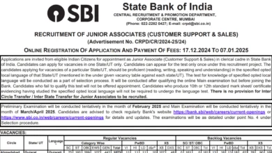 SBI Junior Associate (Clerk) Recruitment 2024-25 Notification Released For 13735 Post, Apply Online