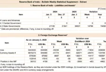 Banks Business Data as of 10 Jan 2025