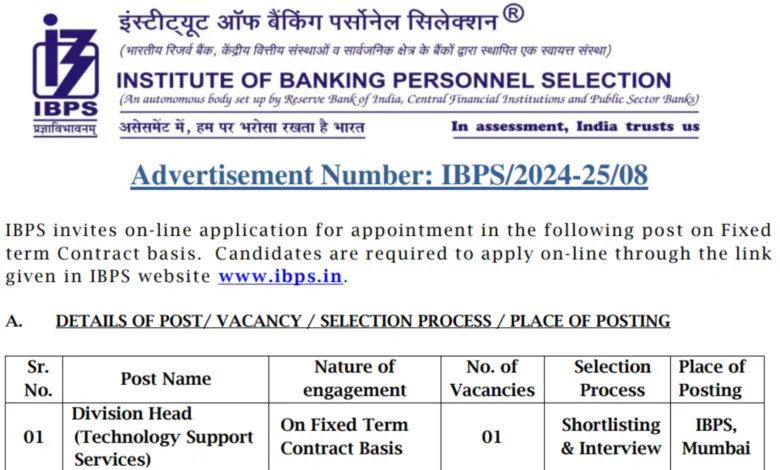 IBPS Recruitment 2025: Post Details, Vacancies, Qualifications and Application Process