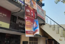 Swarm of Bees Disrupts Operations at Punjab National Bank's Bhadyal Branch