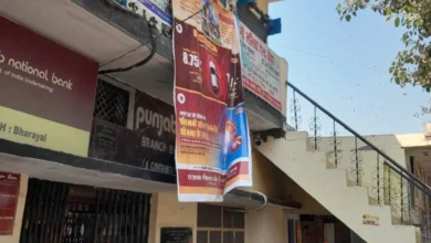 Swarm of Bees Disrupts Operations at Punjab National Bank's Bhadyal Branch