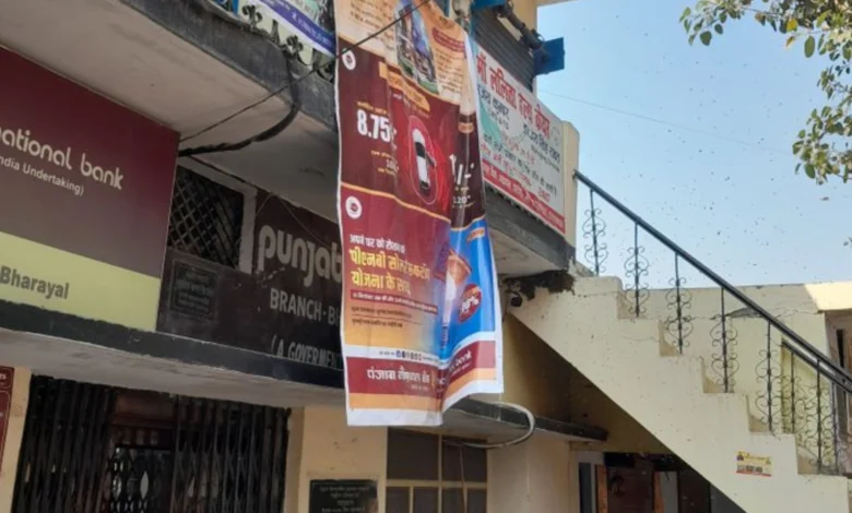 Swarm of Bees Disrupts Operations at Punjab National Bank's Bhadyal Branch