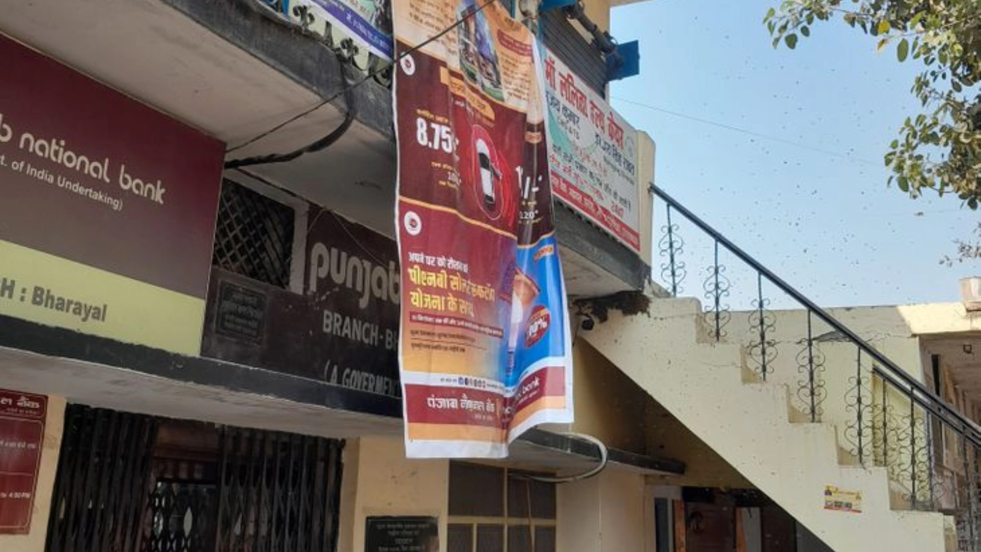 Swarm of Bees Disrupts Operations at Punjab National Bank's Bhadyal Branch