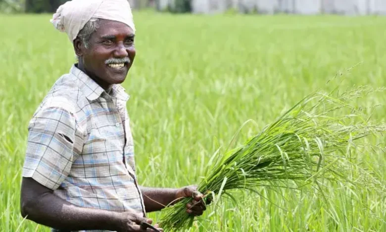 Finance Minister Nirmala Sitharaman Announces Increase in Kisan Credit Card Loan Limit