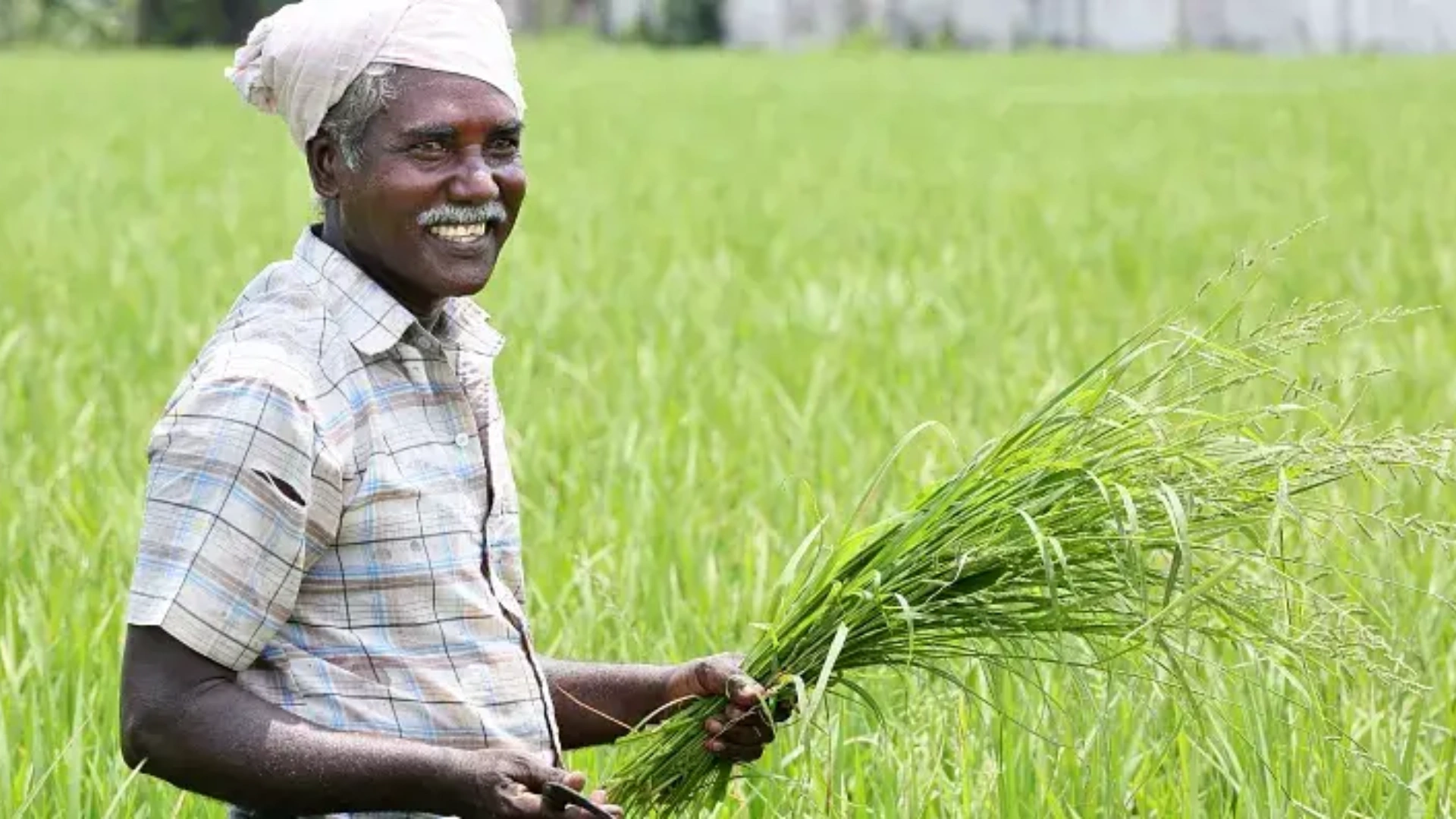 Finance Minister Nirmala Sitharaman Announces Increase in Kisan Credit Card Loan Limit