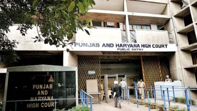 Punjab & Haryana High Court: No Job Termination During Maternity Leave