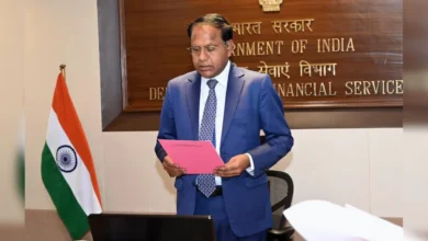 India Needs More Global-Scale Banks to Drive Economic Growth, Says DFS Secretary