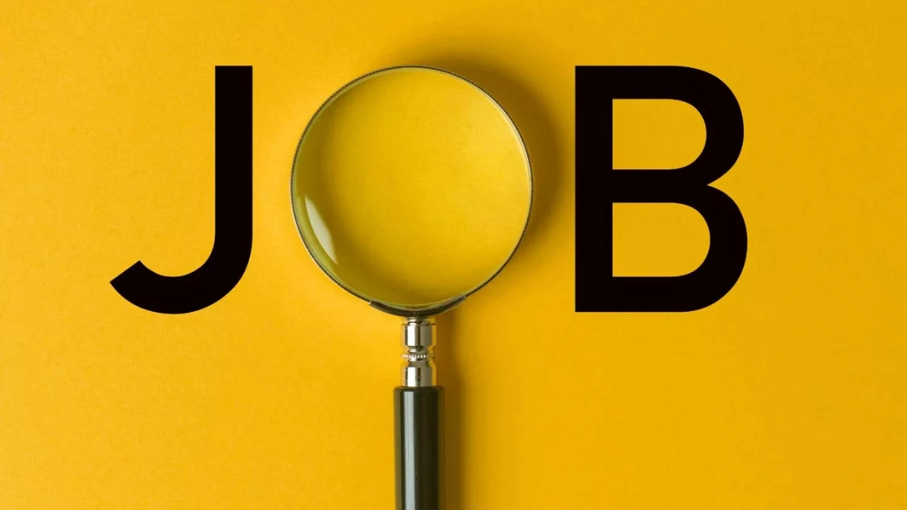 Latest Bank Jobs: SBI, PNB, BOB, IBPS jobs