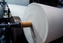 India’s Paper Industry Set for Recovery by 2025-26: Report