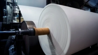 India’s Paper Industry Set for Recovery by 2025-26: Report