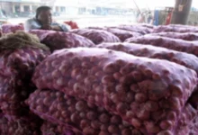 Government Removes 20% Duty on Onion Exports from April 1