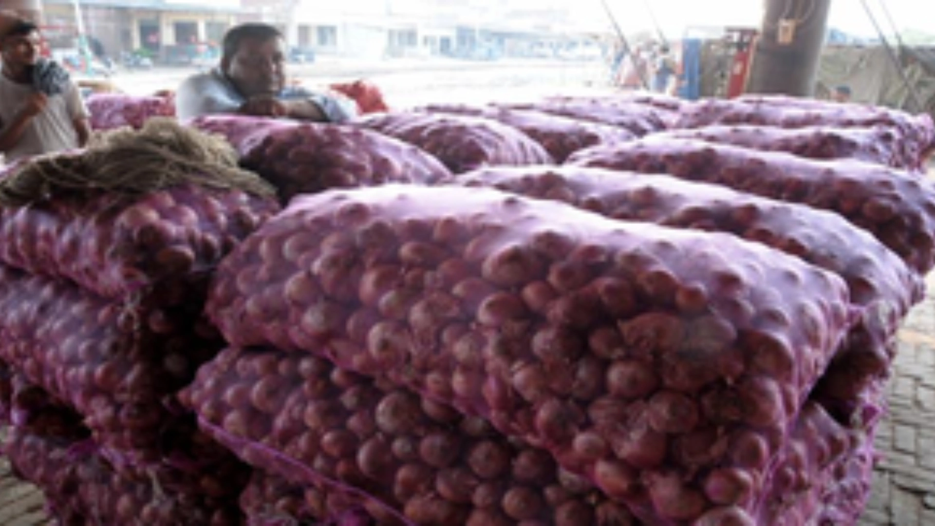 Government Removes 20% Duty on Onion Exports from April 1