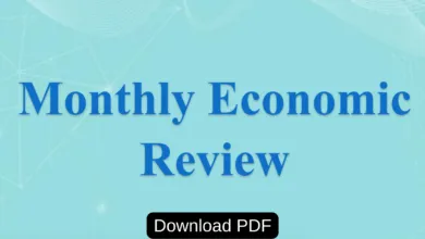 Monthly Economic Review February 2025 PDF