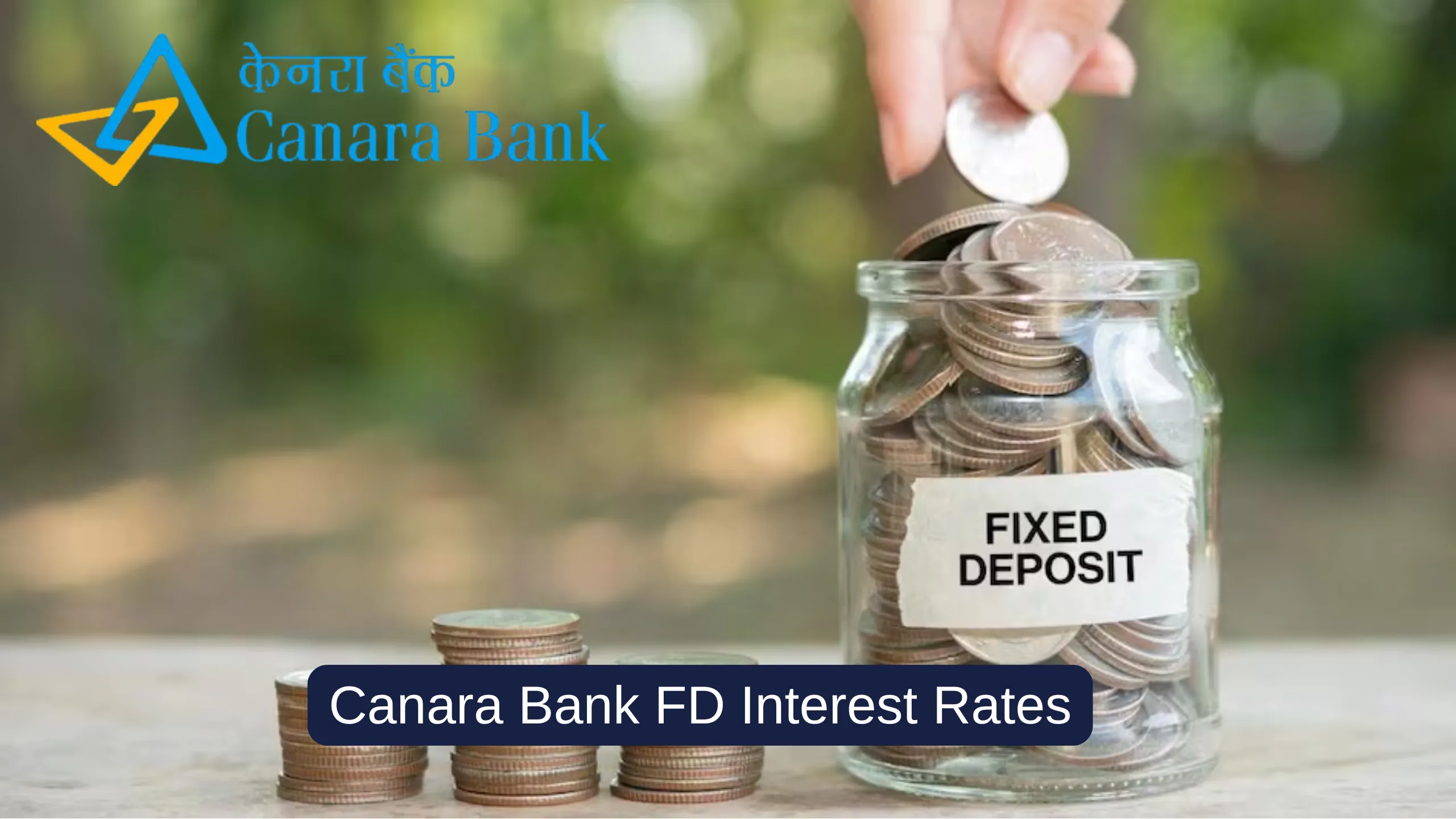 Canara Bank FD Interest Rate: Canara Bank Fixed Deposit Interest Rate For Public and Senior Citizens [Updated]