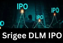 Srigee DLM IPO Allotment Status: Key Details and How to Check