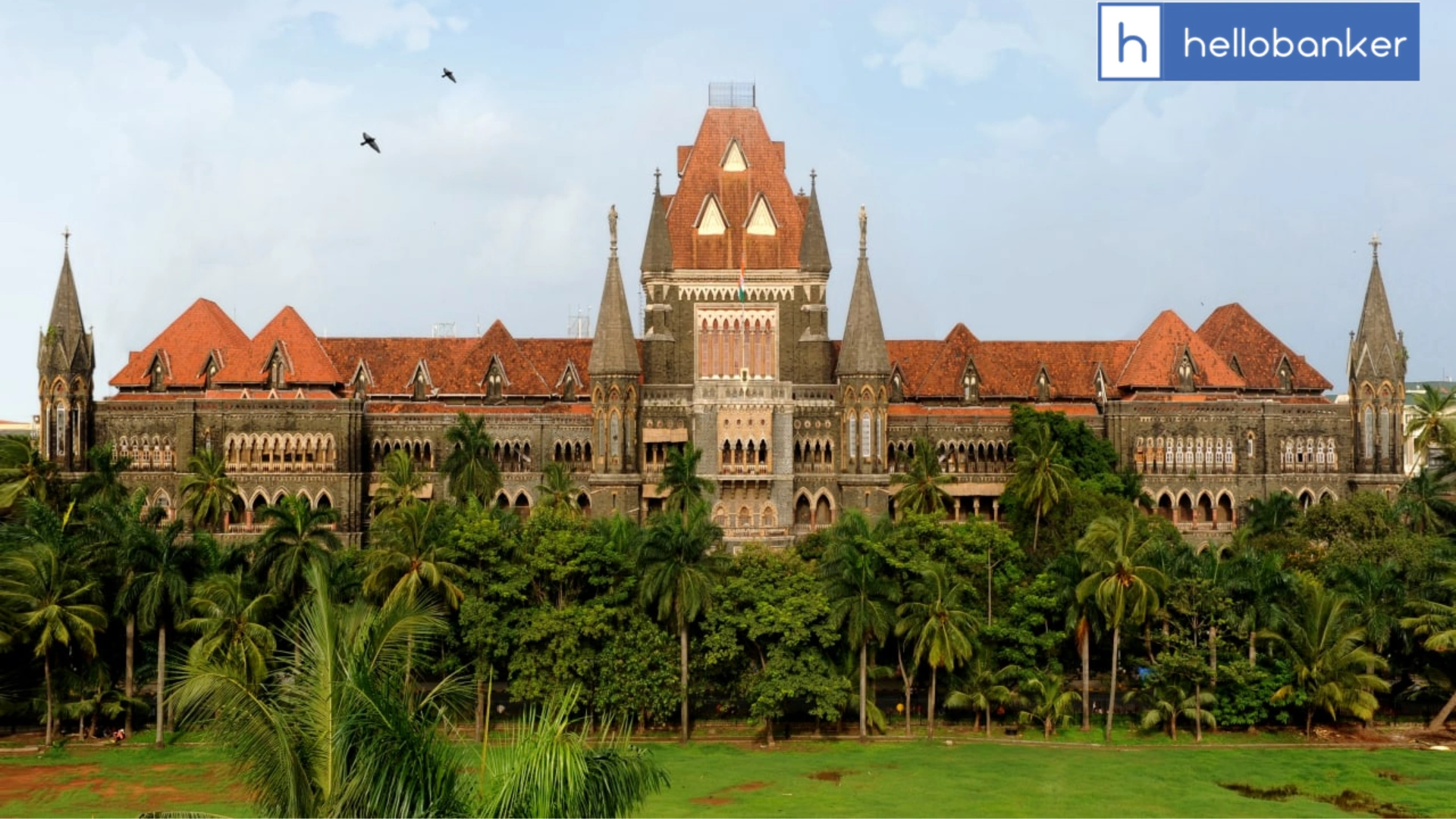 Bombay High Court Orders PNB, Indian Bank & Union Bank to Pay ₹386 Crore to BCCI in Nimbus Case