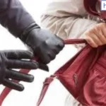 Woman's Bag Snatched Near Raipur Rani Bus Stand; ₹8,000 Cash and Documents Lost