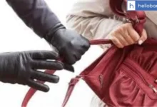 Woman's Bag Snatched Near Raipur Rani Bus Stand; ₹8,000 Cash and Documents Lost