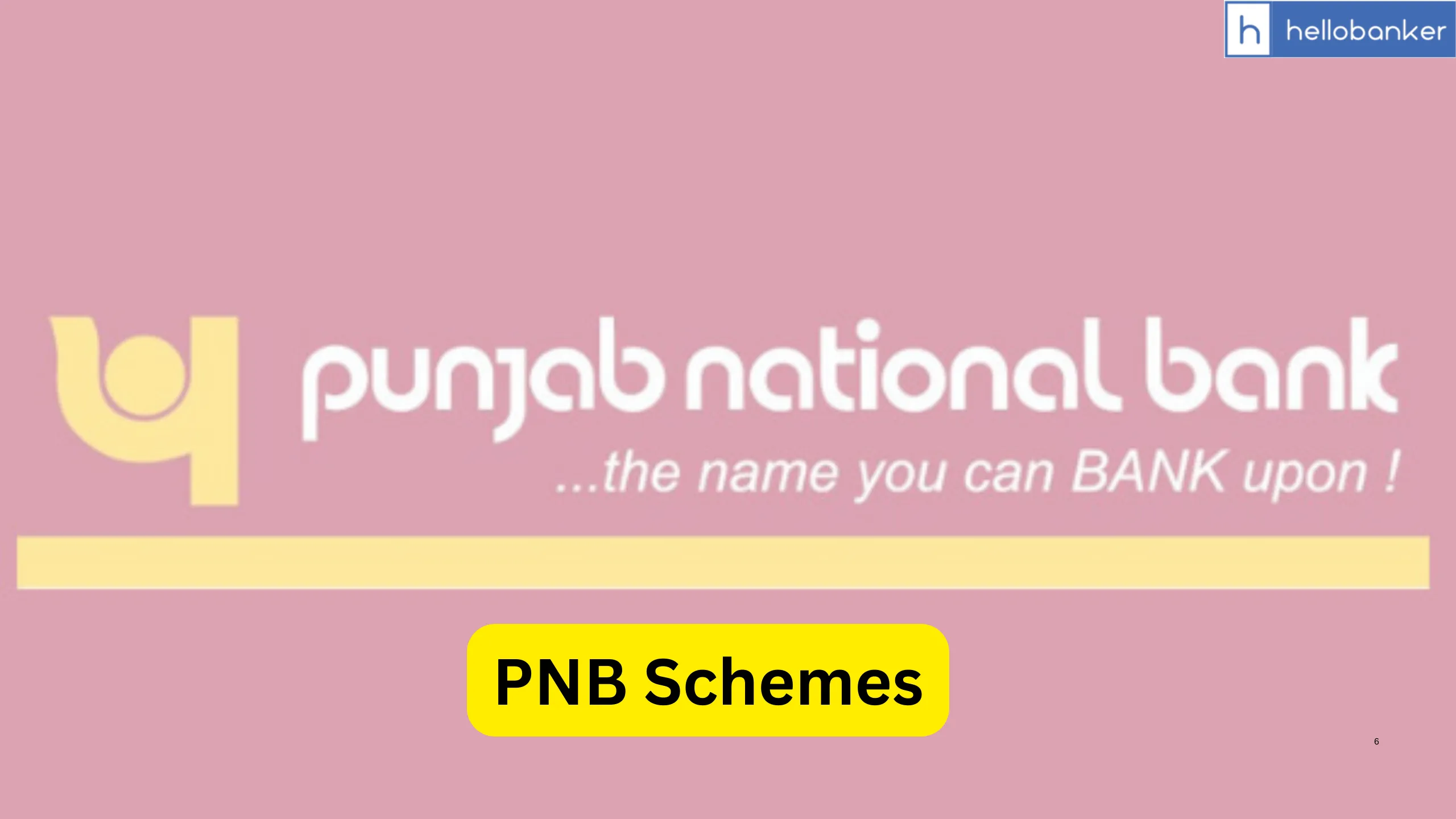 Punjab National Bank (PNB) Schemes Download PDF