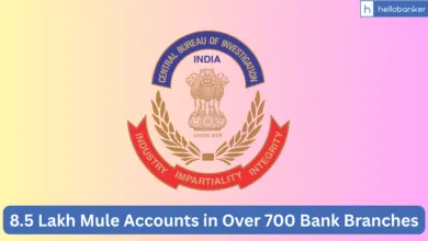 8.5 Lakh Mule Accounts in Over 700 Bank Branches, CBI Raids 42 Places in 5 States