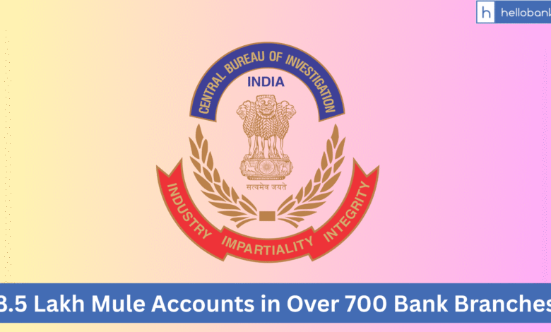 8.5 Lakh Mule Accounts in Over 700 Bank Branches, CBI Raids 42 Places in 5 States