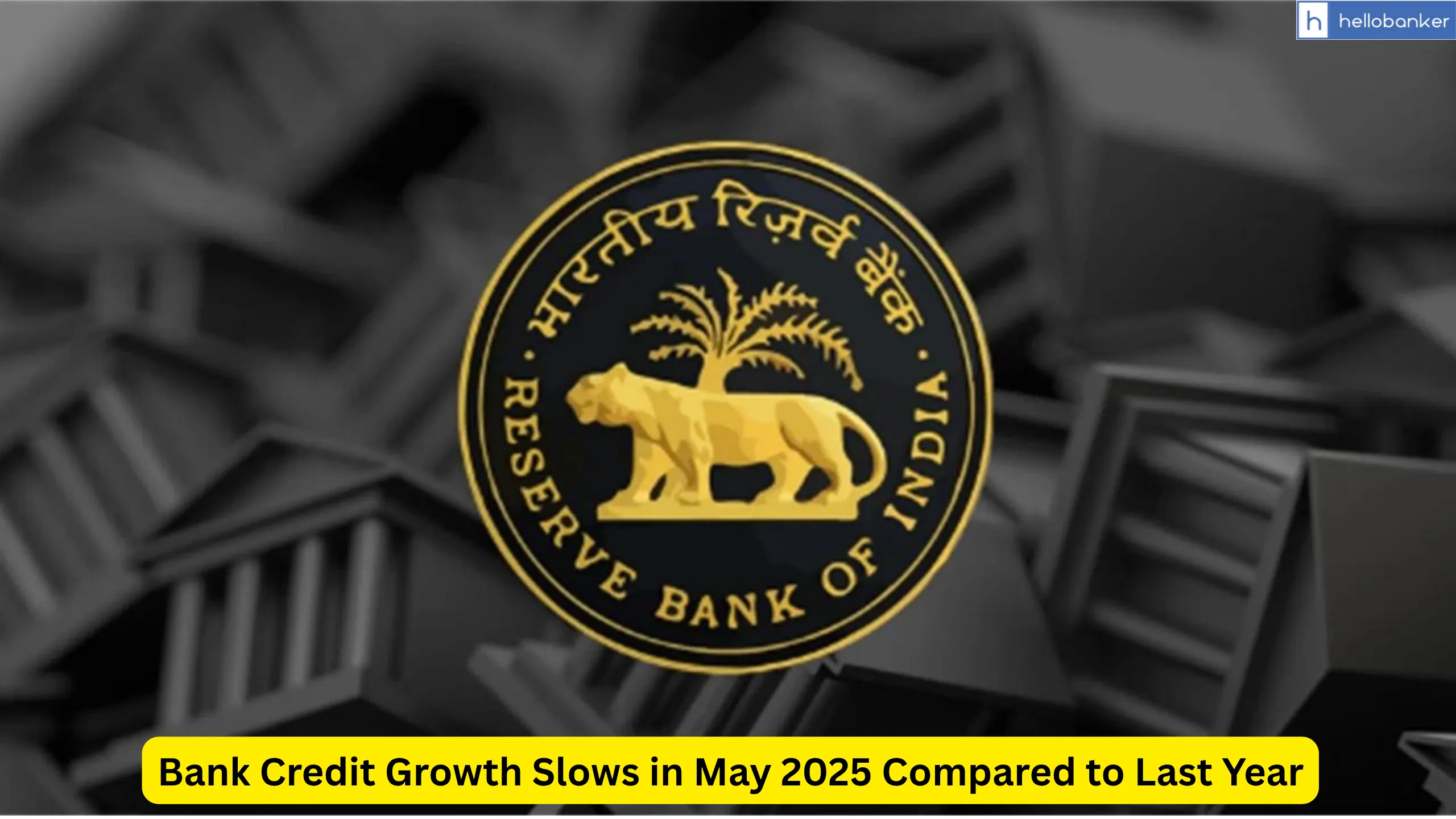Bank Credit Growth Slows in May 2025 Compared to Last Year: RBI Data