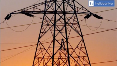 Power Sector Employees to Go on Nationwide Strike on July 9 Against Privatisation