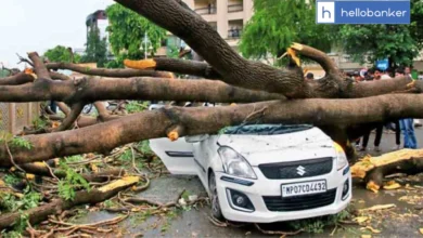 Massive Tree Falls on Car in Gwalior, Bystanders Rescue Driver and Prevent Major Accident