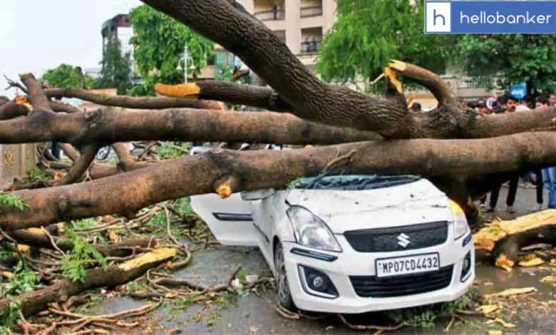 Massive Tree Falls on Car in Gwalior, Bystanders Rescue Driver and Prevent Major Accident