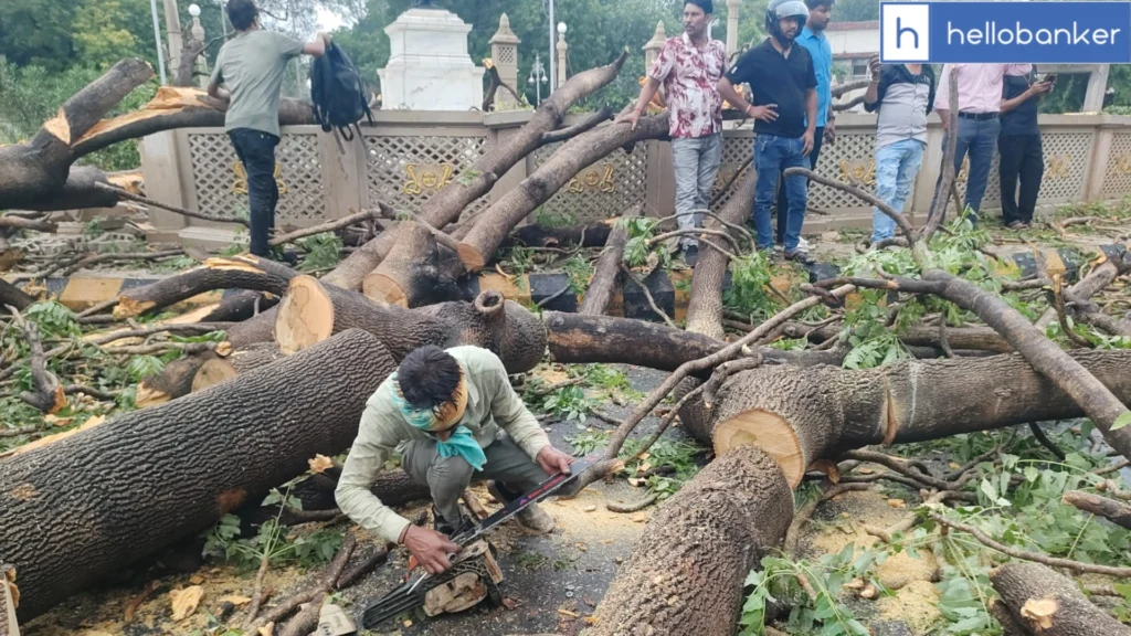 Massive Tree Falls on Car in Gwalior, Bystanders Rescue Driver and Prevent Major Accident