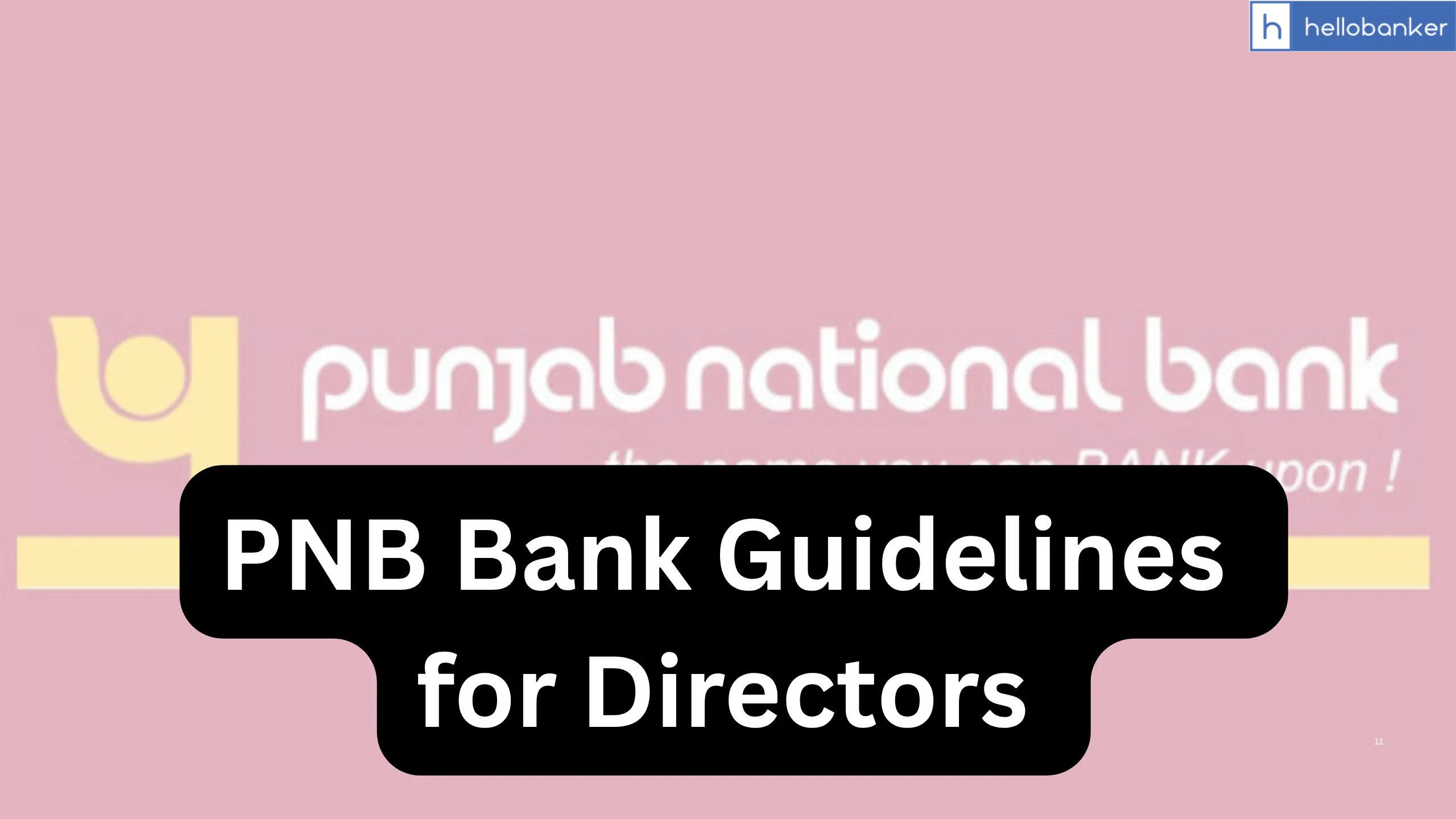 PNB Bank Guidelines for Directors [PDF]
