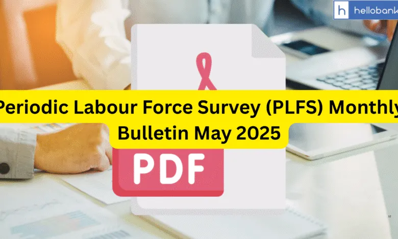 Periodic Labour Force Survey (PLFS) Monthly Bulletin May 2025
