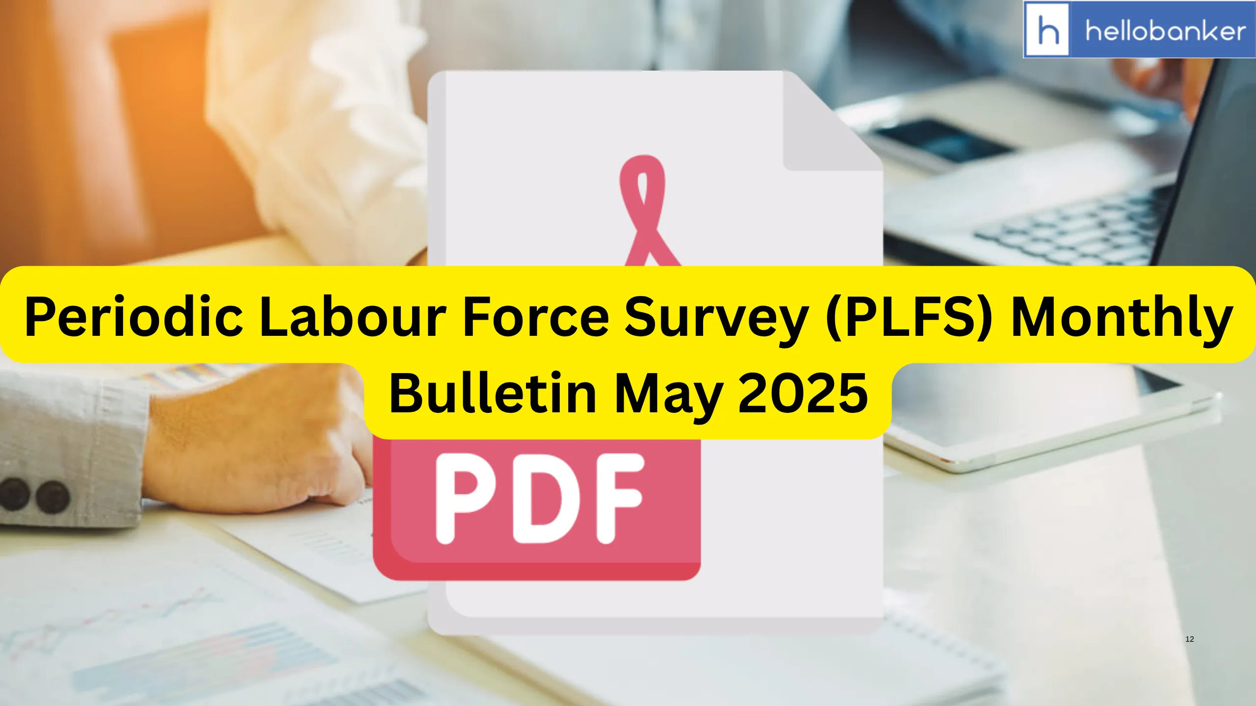 Periodic Labour Force Survey (PLFS) Monthly Bulletin May 2025