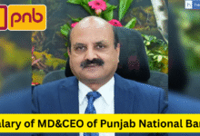 Salary of MD&CEO of Punjab National Bank, Check Salary and PLI