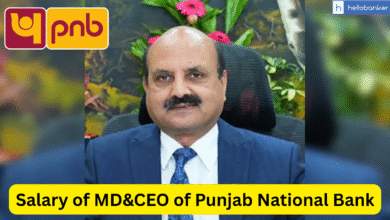 Salary of MD&CEO of Punjab National Bank, Check Salary and PLI