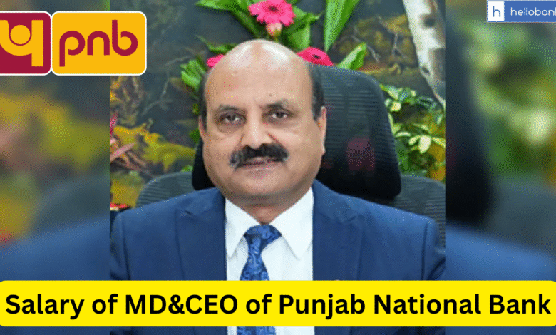 Salary of MD&CEO of Punjab National Bank, Check Salary and PLI