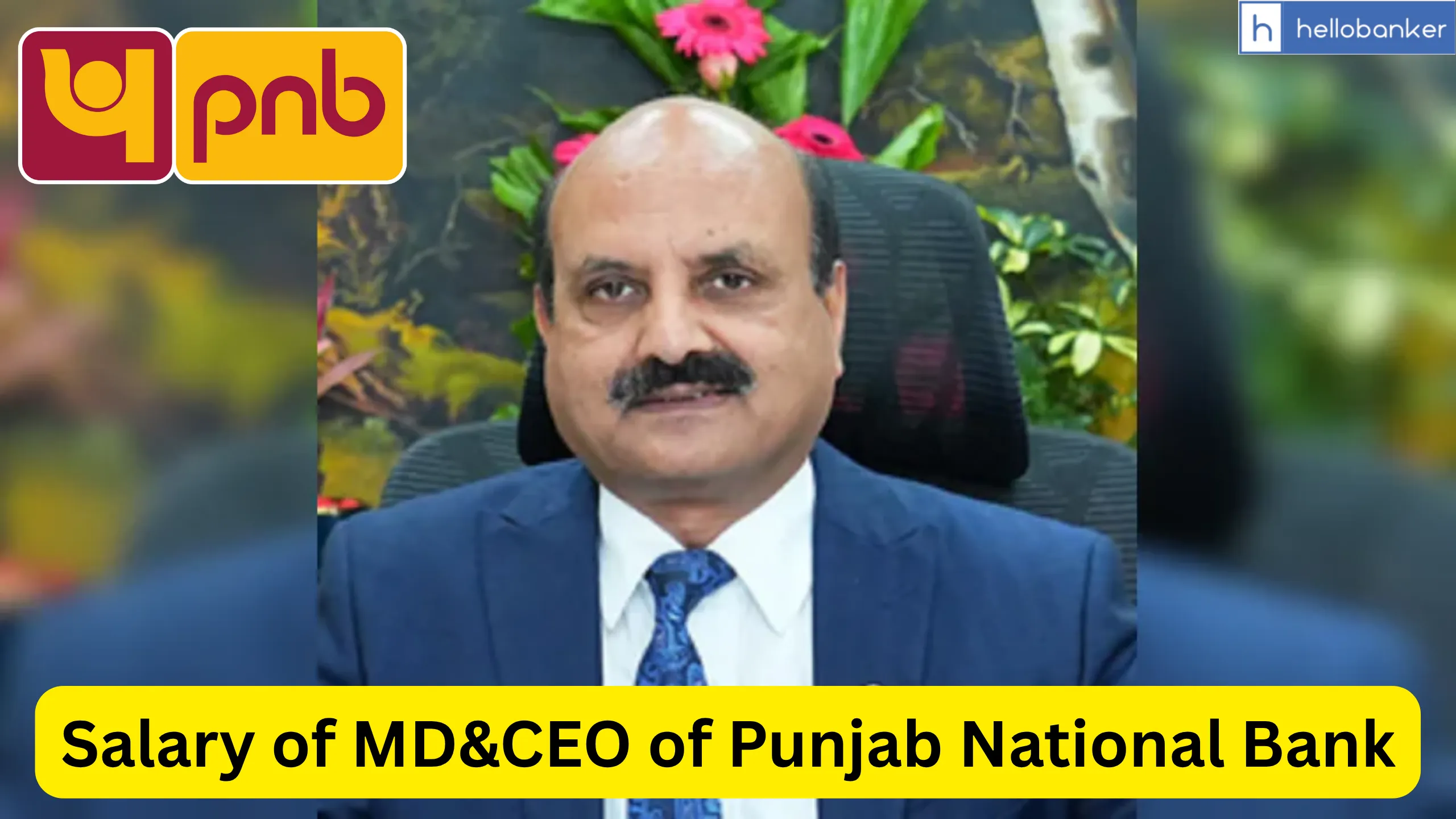 Salary of MD&CEO of Punjab National Bank, Check Salary and PLI