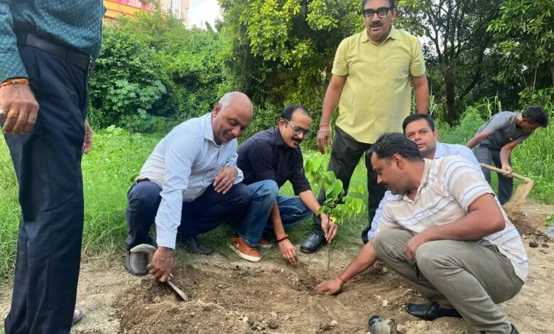 AIBOC members planted fruit bearing trees