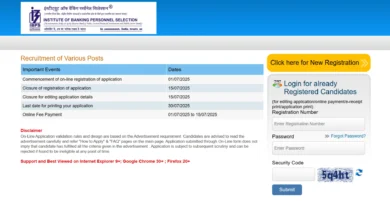 IBPS Hindi Officer Recruitment 2025 Notification Released and Apply Online