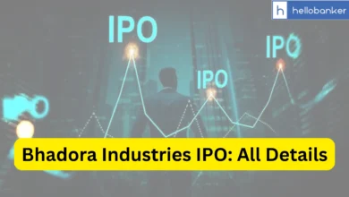 Bhadora Industries IPO Last Date, Price & Prospectus PDF