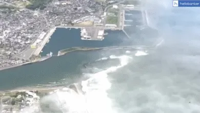 Tsunami: Massive 8.8 Magnitude Earthquake Near Russia Triggers Widespread Tsunami Warnings
